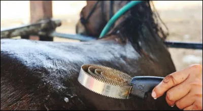 À quoi sert l'étrille ?