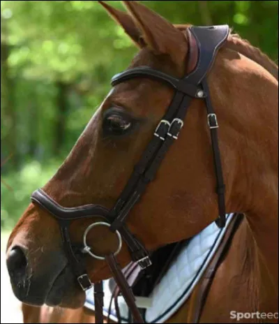 Pour retirer le filet que dois-tu détacher ?