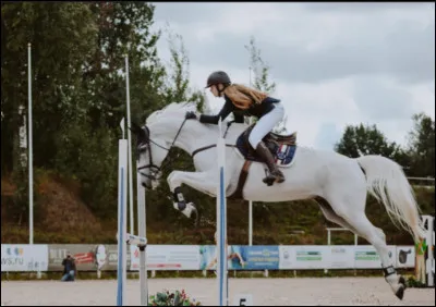 L'avant-train est la partie situé en avant du cheval.