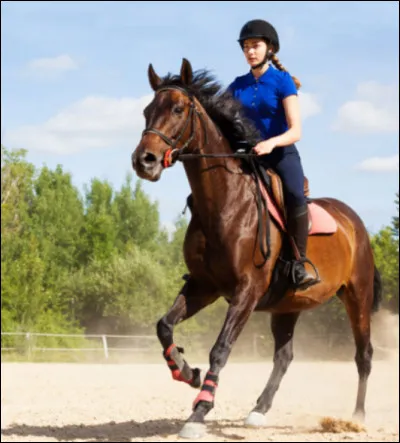 Trotter enlevé est plus confortable que trotter assis.