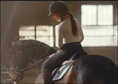Comment s'asseoir sur le cheval ?