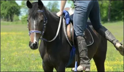 Que faut-il faire juste avant de monter à cheval ?