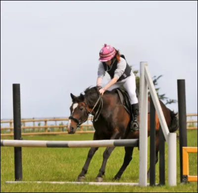Le cheval est craintif par nature.