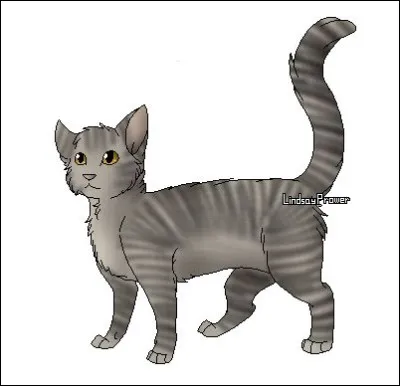 Huitième prénom : Poil de Bourdon
Trouve le bourdon parmi ces images.