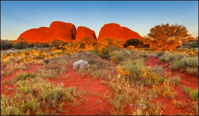 Quelle catégorie de personnes a colonisé l'Australie dès la fin du XVIIIe siècle ?