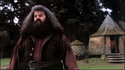 Est-ce qu'il/elle est ami(e) avec Hagrid ?