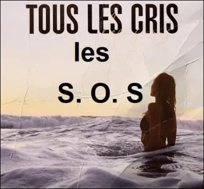 ''Tous les cris les S.O.S'' est une chanson écrite, composée et interprétée par quel chanteur ?