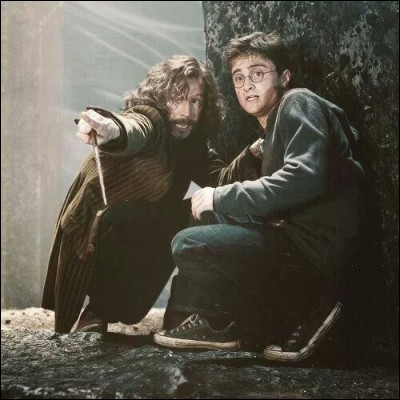 6e place : Quel est le lien qui unit le prisonnier Sirius Black et Harry dans le troisième volet ?
