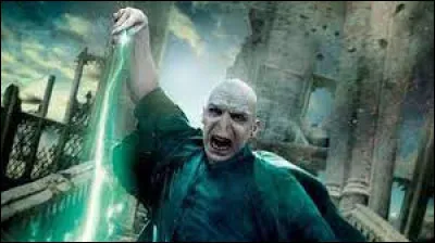 Littérature : Quel est le sort de mort dans la saga littéraire ''Harry Potter'' ?