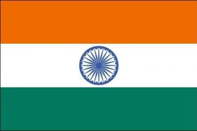 A quel mammifre ressemble le gayal indien ?