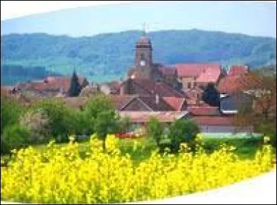 Je vous emmène maintenant en Bourgogne-Franche-Comté, à Fleurey-lès-Faverney. Village de l'aire d'attraction Vésulienne, il se situe dans le département ...