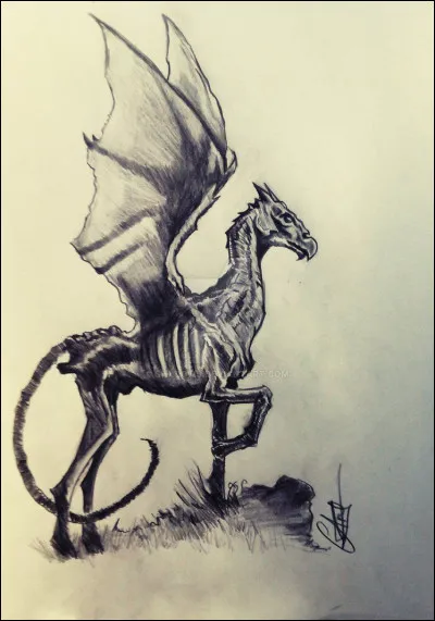 Elle peut voir les Sombrals.