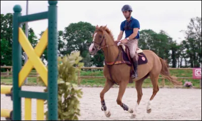 Pour sauter, le cheval doit accélérer brusquement.