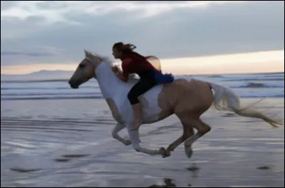 Quand tu galopes, où doit se porter ton regard ?