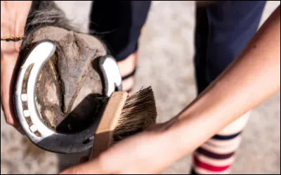 Quand faut-il curer les pieds ?