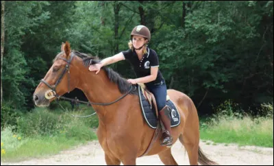 Comment ressangler tout en étant à cheval ?