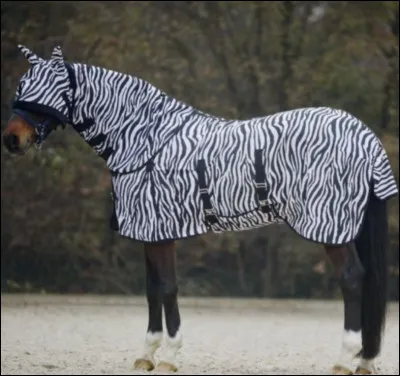 À quoi servent les couvertures ?