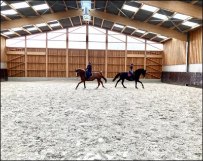 Les lettres de manège sont toujours à la même place dans tous les manèges.