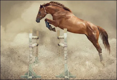 Quelle position dois-tu adopter pour franchir un obstacle ?