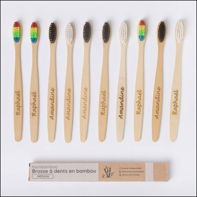 Et pur finir est ce que cette brosse a un rapport avec le pansage ?