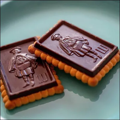 Quels sont ces délicieux biscuits au chocolat ?