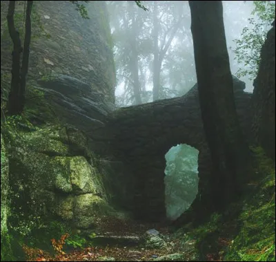 Tu te promènes, seul(e), dans la forêt, quand tu te retrouves nez à nez avec deux Invisibles. Que fais-tu ?