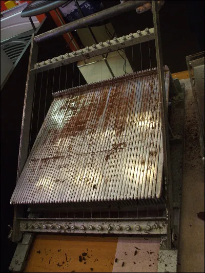 Le mélophone est un instrument de musique. Lequel ?