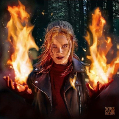 Pour terminer, quelle est cette s&eacute;rie ayant pour personnage principal Bloom ?