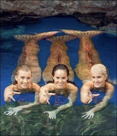 Faites attention, il y a un pi&egrave;ge !