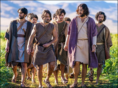 C'est une s&eacute;rie qui retrace l'histoire de J&eacute;sus.