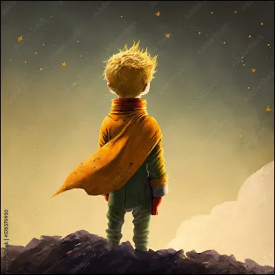 Comment était le prince qui vivait sur la planète B612 ?