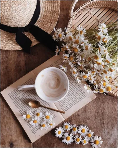 Qui a écrit "Le Général Dourakine" ?