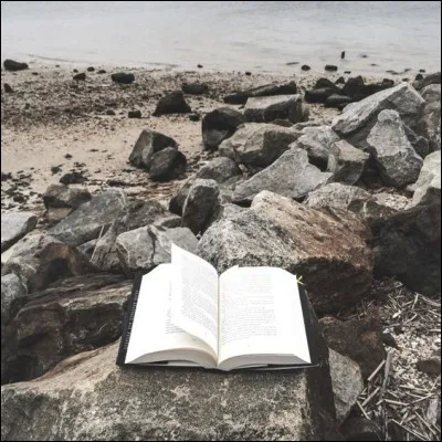 Dans quel roman fait-on la connaissance du capitaine Nemo, personnage principal ?