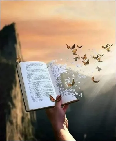 Qui est l'auteur du livre "Le Capitaine Fracasse" ?