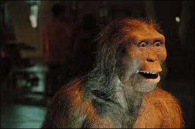 Sciences et Nature : Dans quel pays a été trouvé l'australopithèque Lucy ?