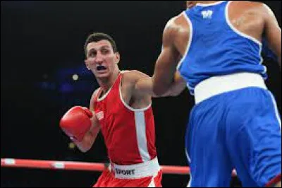 Sports et Loisirs : Quelle catégorie de boxe n'existe pas ?