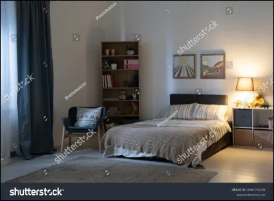 Ça y est, c'est le soir ! Tu as mangé et tu es retourné dans ta chambre après avoir un peu regardé la télé. Il est 21 heures. Que veux-tu faire ?