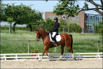 Cochez les noms des en-tête.