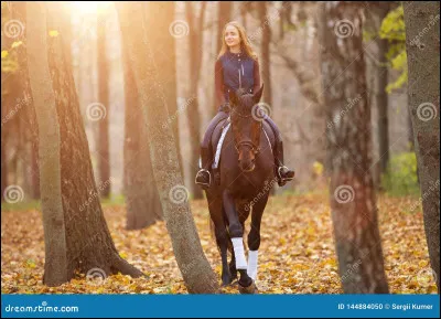 Quelles sont les aides artificielles ?