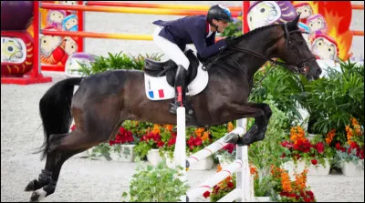 Donner des noms d'obstacles dits mobiles ?