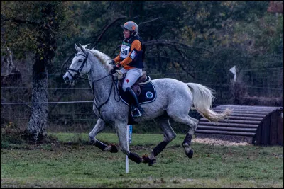 Que peut faire le cavalier en détente individuelle ?