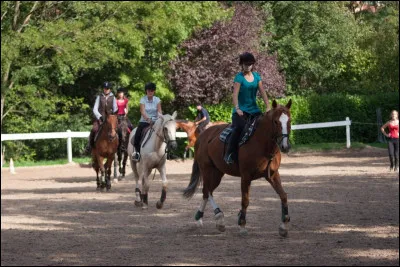 Le cheval que je dois monter est blessé au passage de sangle. Comme il saigne beaucoup...