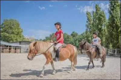 Quelle taches ne permettent pas de dire qu'un cheval est pie ?
