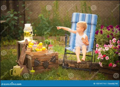 Qui chante le titre "Petit garçon" ?