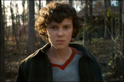 De quelle saison cette image est-elle tirée ?