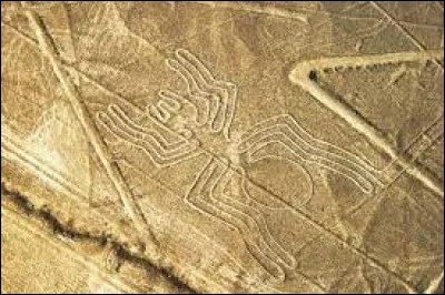 Géographie et monuments : Dans quel pays se trouvent les géoglyphes de Nazca ?