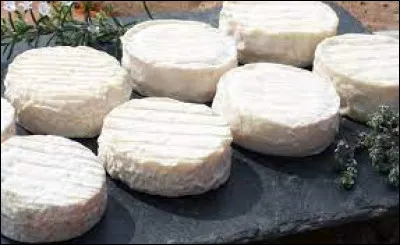 Gastronomie : De quelle région est originaire le fromage pélardon ?
