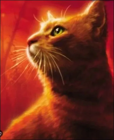 De quelle couleur est ton pelage ?