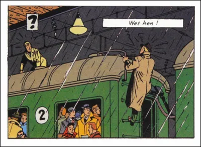 Est-ce que l'on dit vraiment "Poule mouillée", aussi, en anglais, tel que traduit ici ?