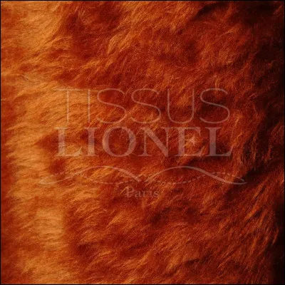 À quel animal ces poils appartiennent-ils ?